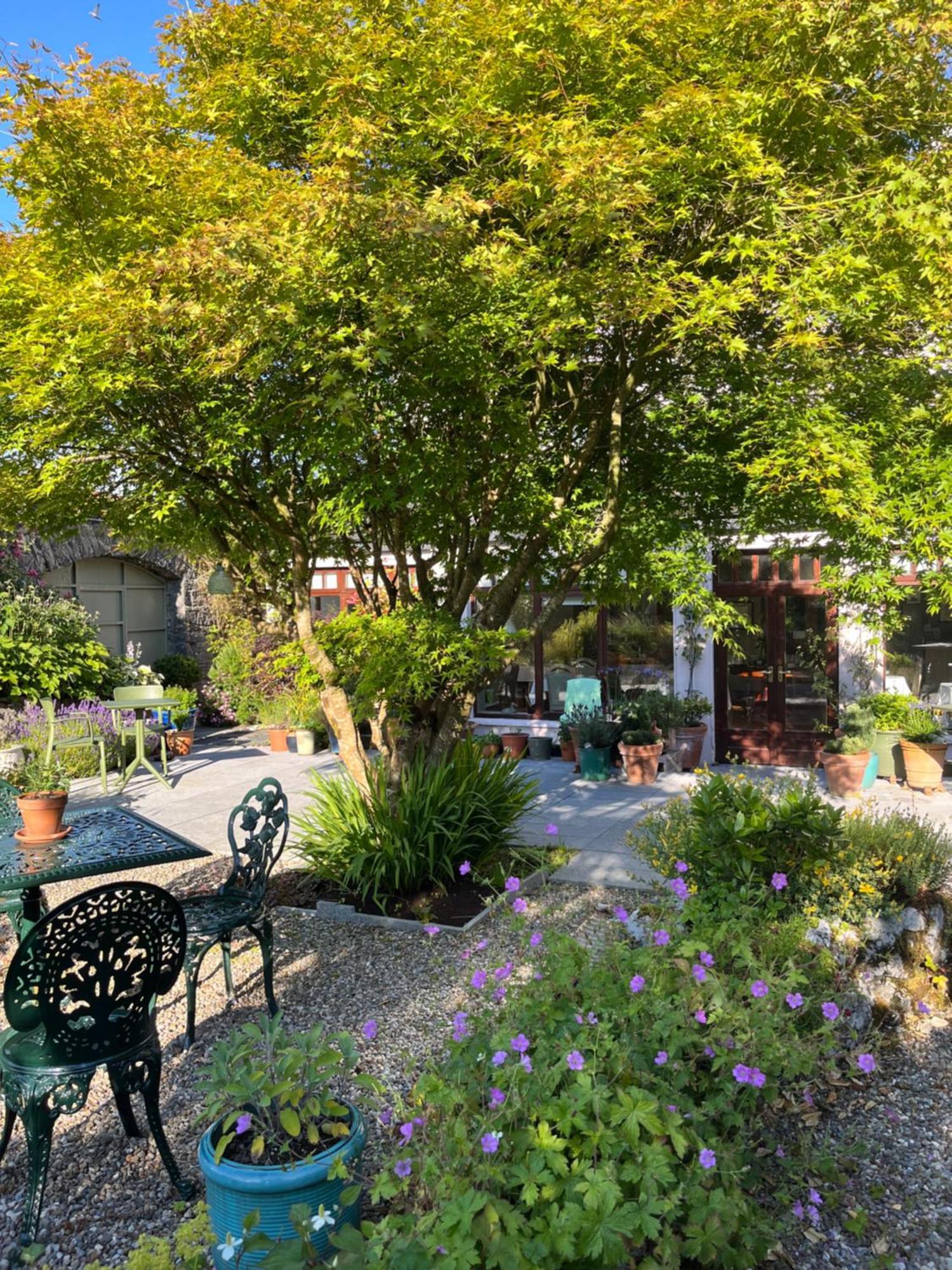 Wild Honey Inn ليسدونفارنا المظهر الخارجي الصورة